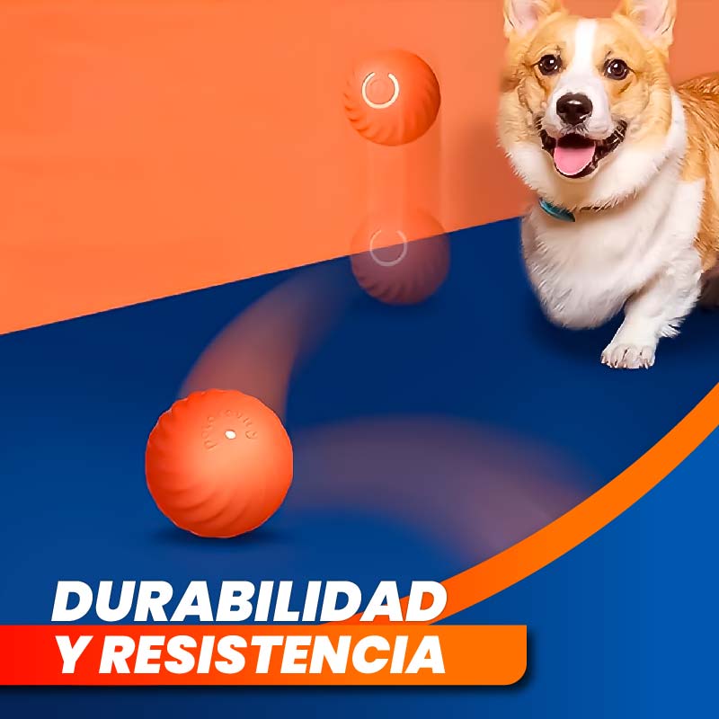 Bola de juguete para mascotas | PawSphere