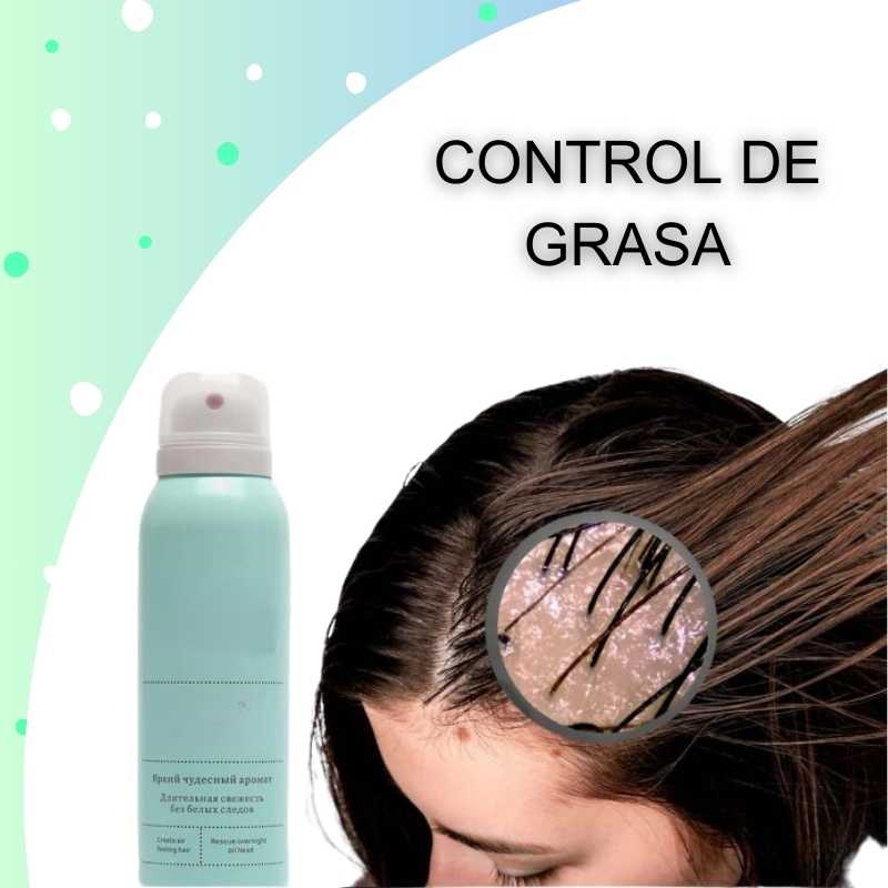 SHAMPOO EN SECO EN SPRAY - QUICK CLEAN SPRAY